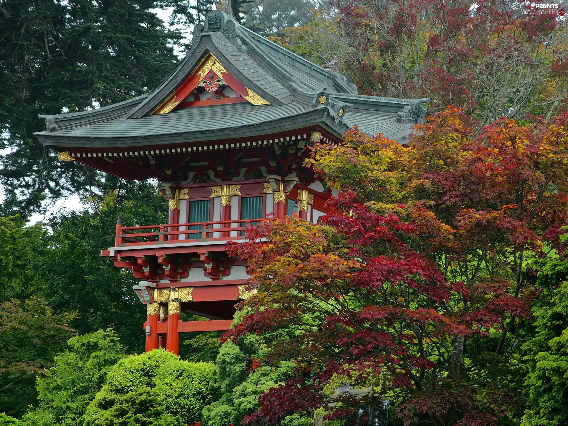 decorating, house, trees, viewes, Japan, Golden