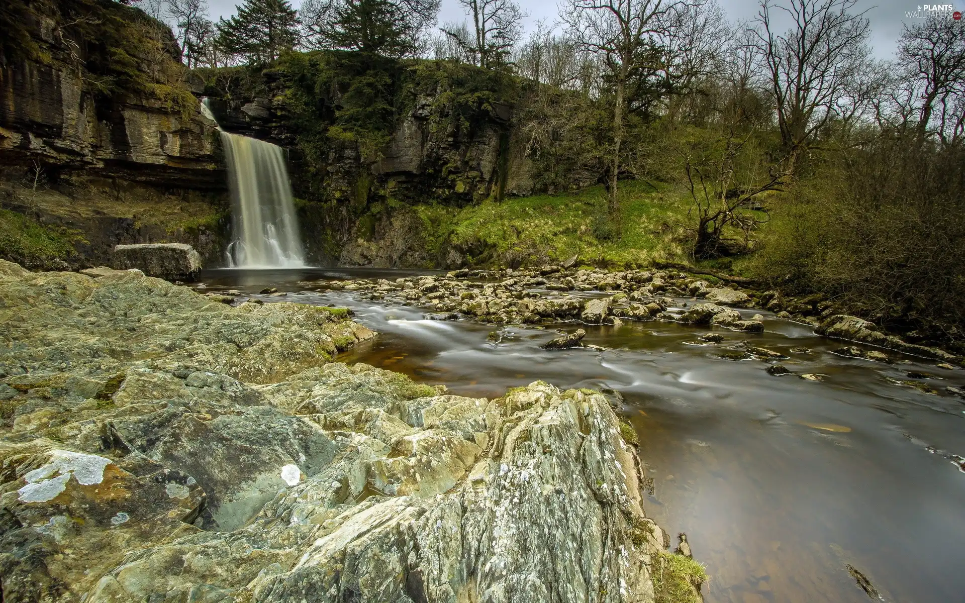 trees, viewes, waterfall, Stones, River