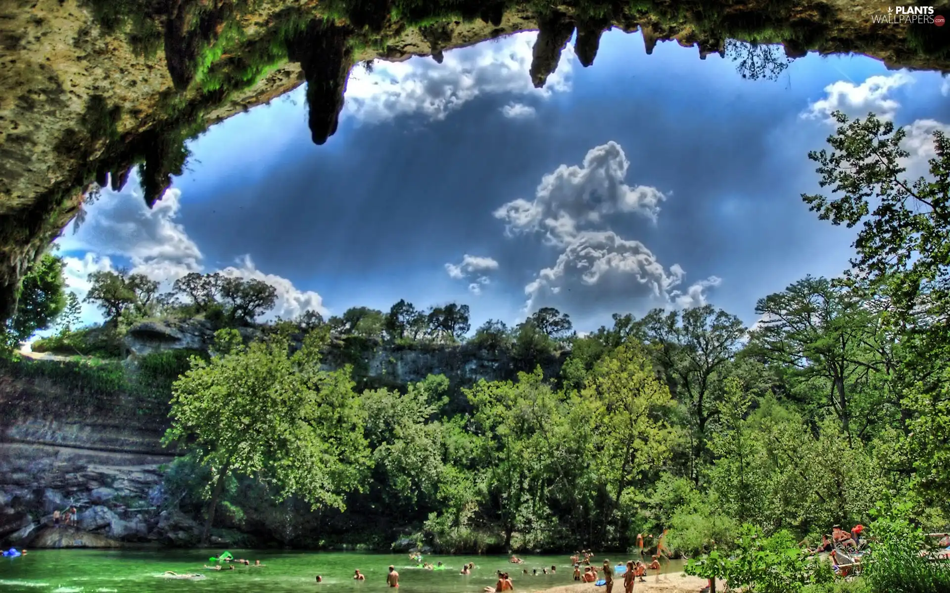 trees, viewes, lake, clouds, watering place