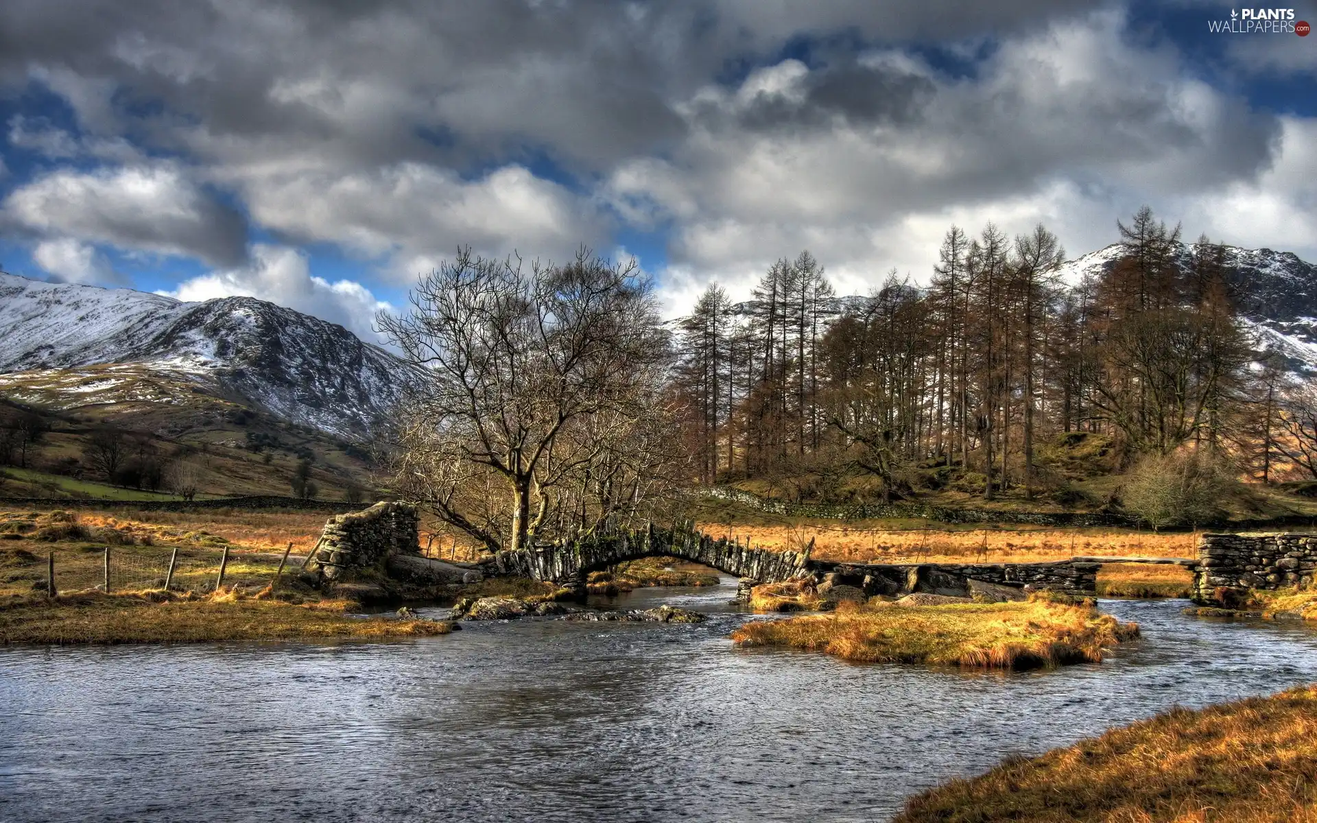 viewes, clouds, Mountains, trees, River