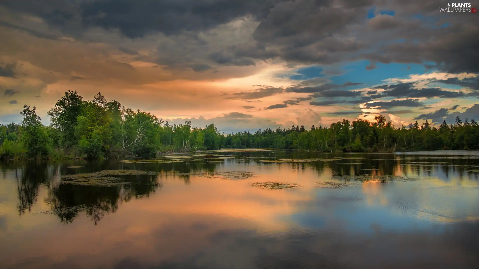 viewes, clouds, lake, trees, summer