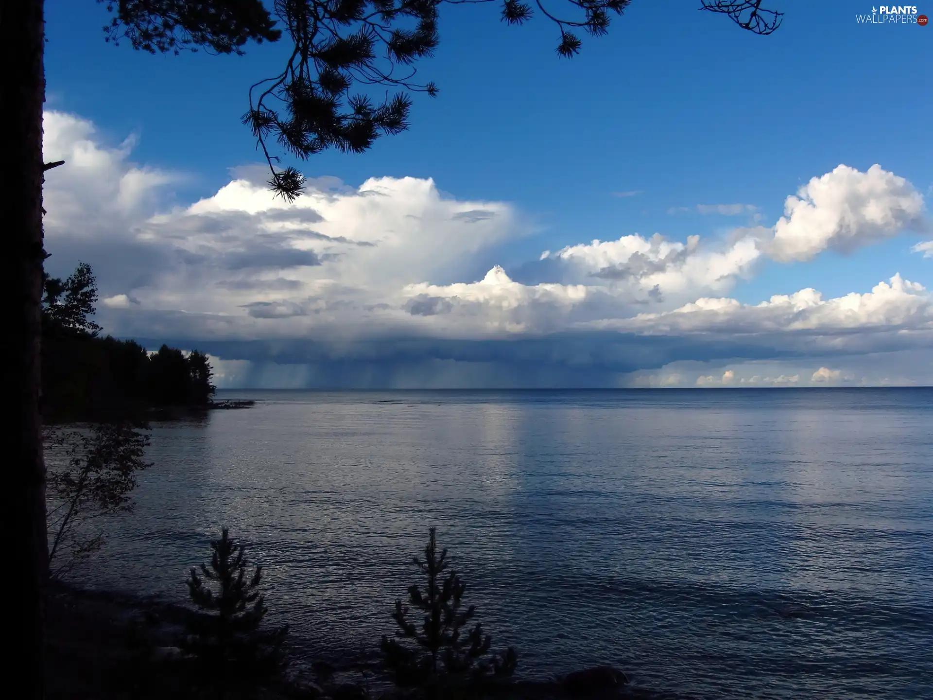 clouds, trees, viewes, lake