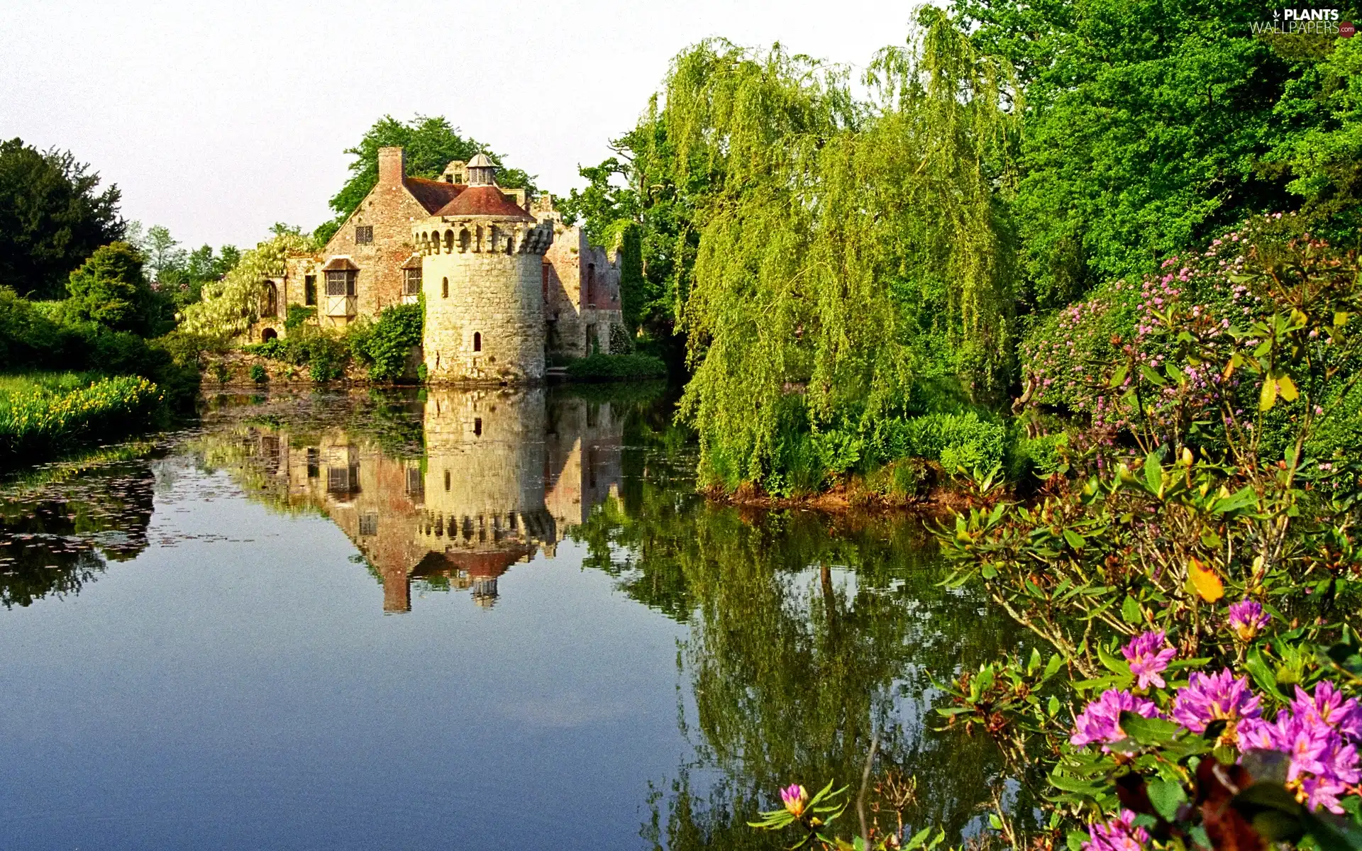 trees, lake, Kent, Flowers, Castle, viewes, England