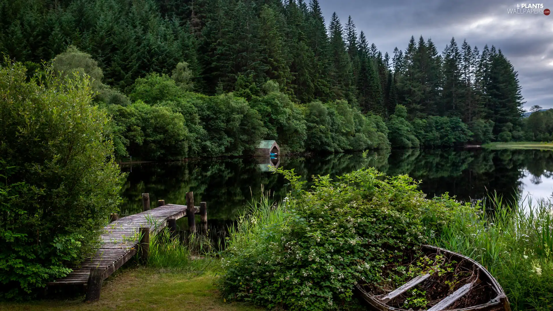 Platform, Boat, Flowers, trees, Bush, forest, lake, viewes