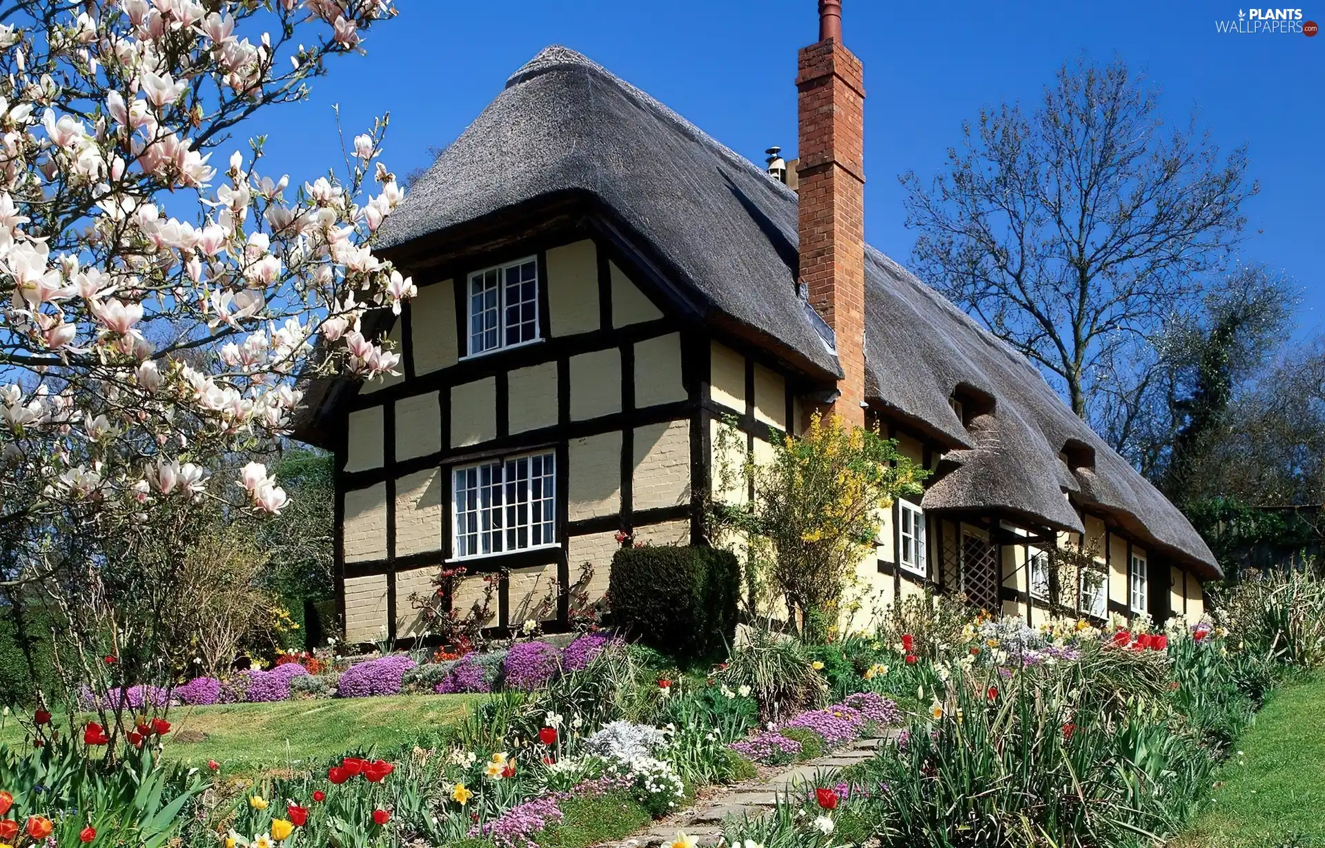 Home, trees, viewes, Flowers