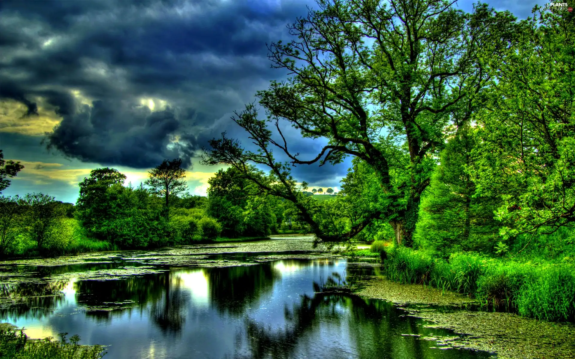 lake, trees, viewes, clouds