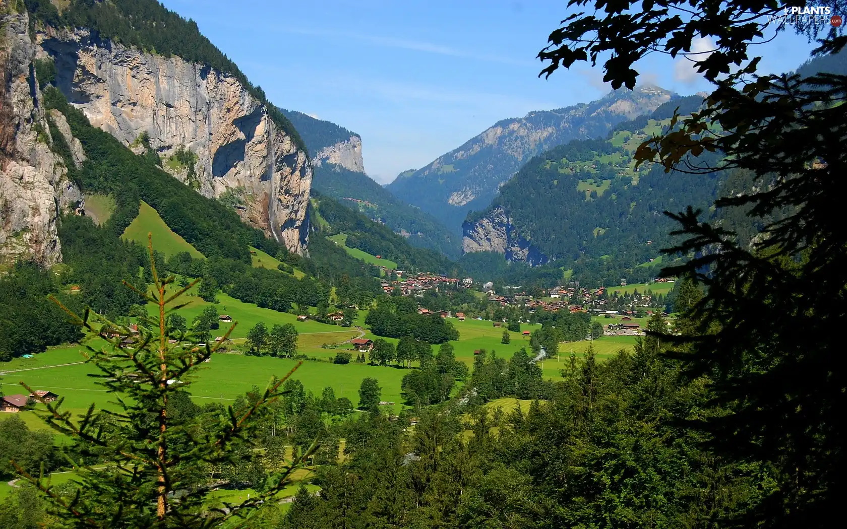 Mountains, trees, viewes, Valley