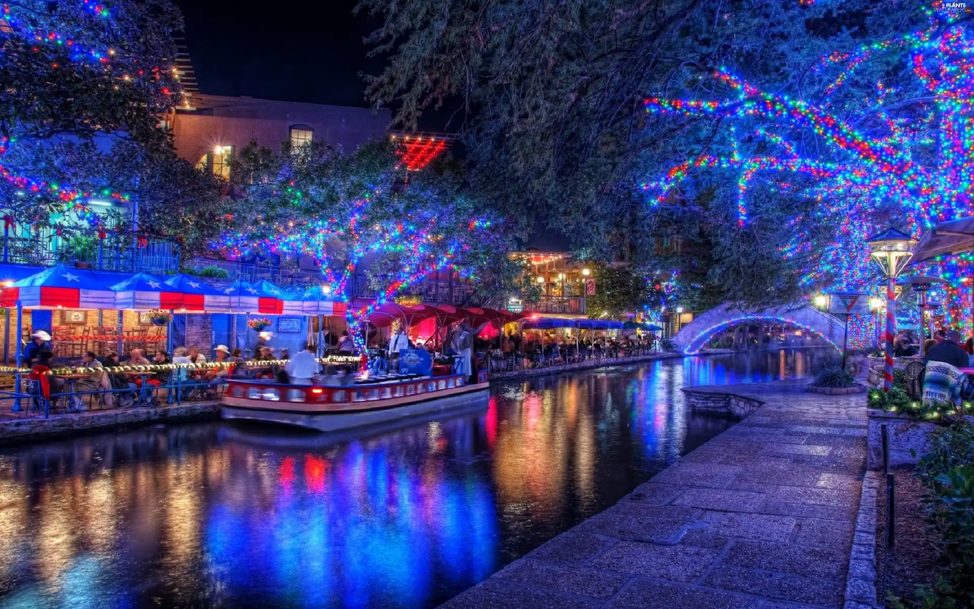 viewes, Night, Restaurants, trees, River