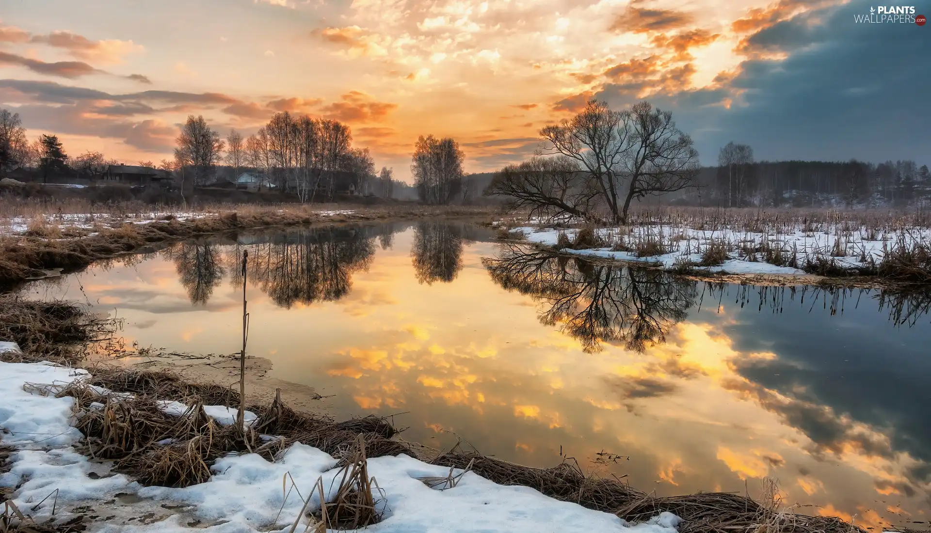 trees, viewes, River, leafless, winter