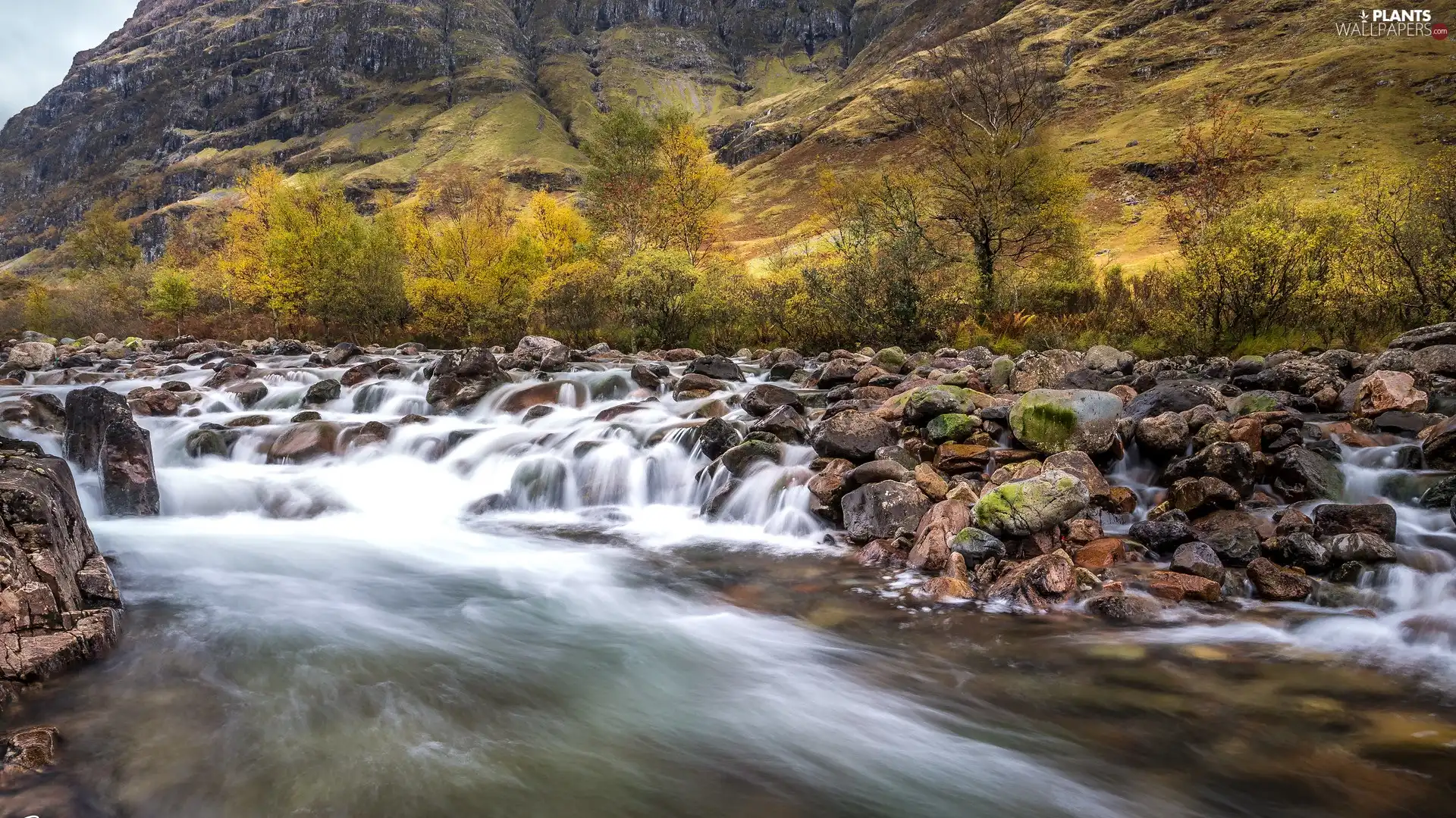 trees, viewes, Stones, River, Mountains