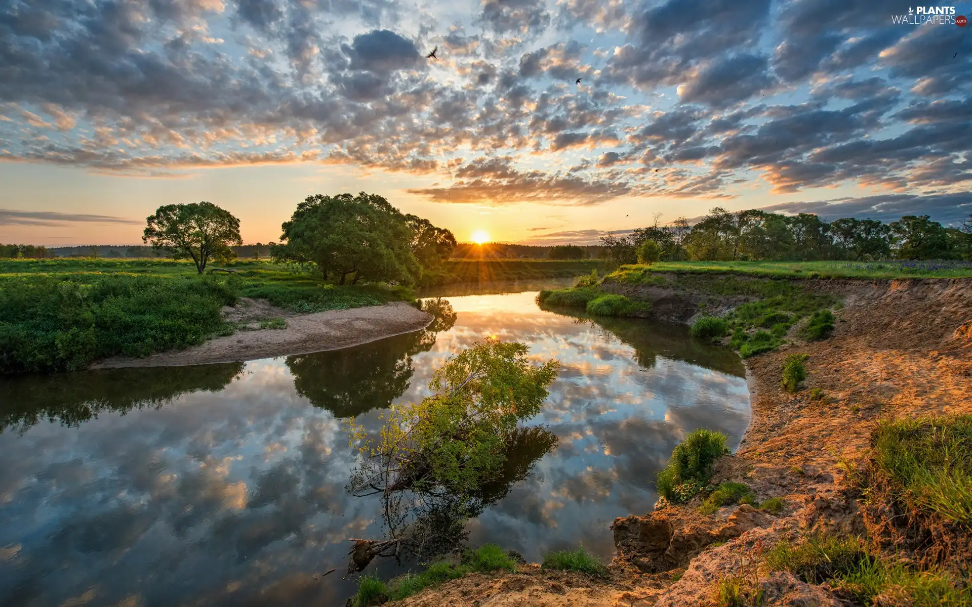 medows, trees, Sunlight, viewes, River, clouds, morning