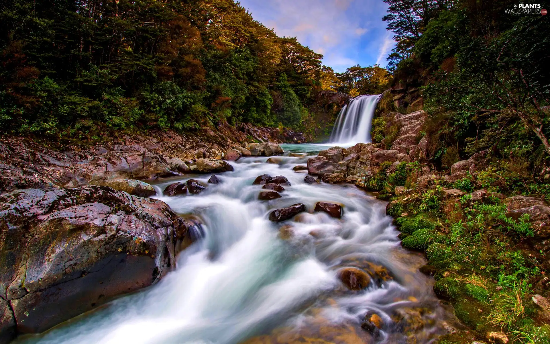 viewes, waterfall, trees