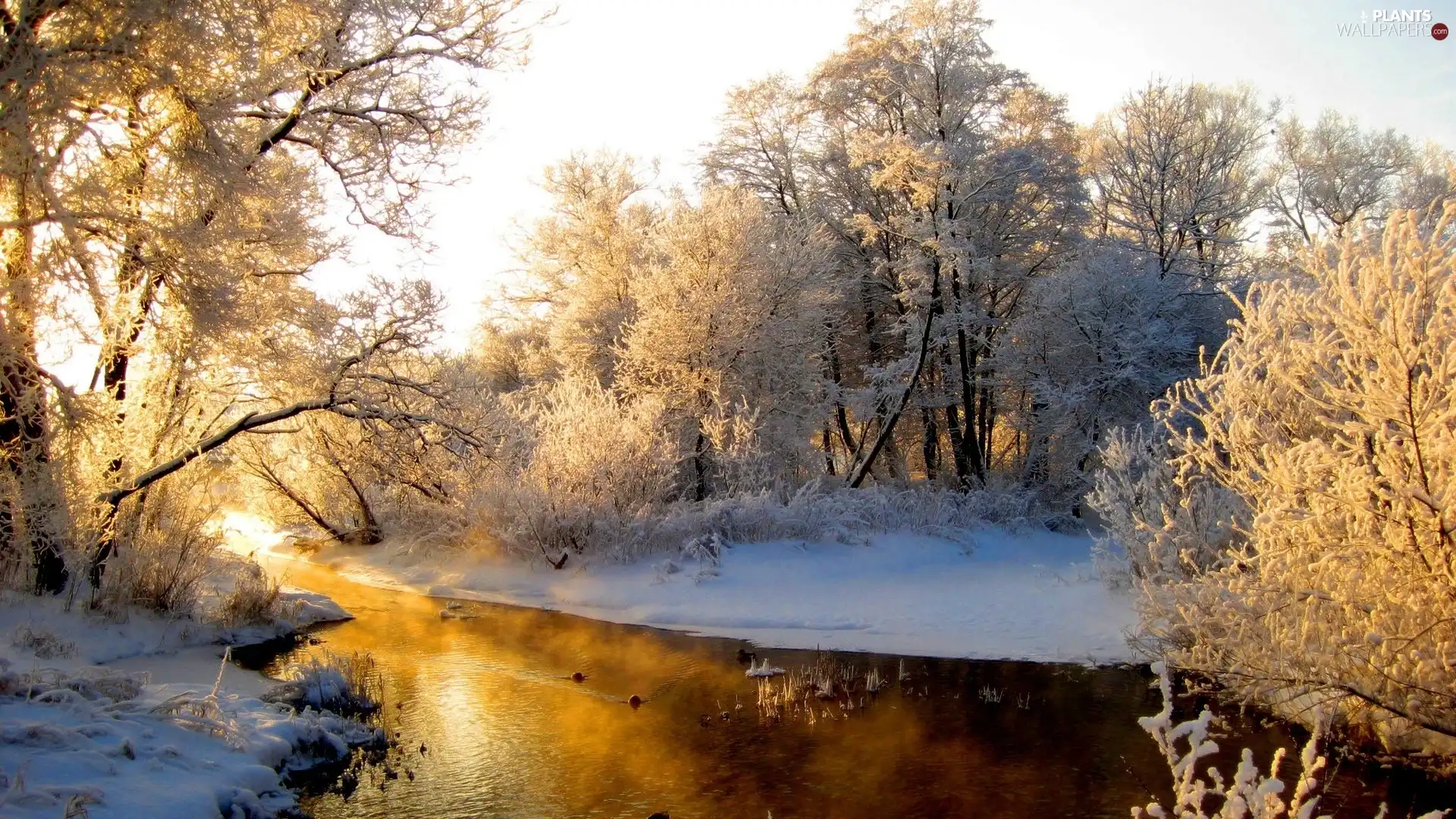 viewes, winter, Snowy, trees, River