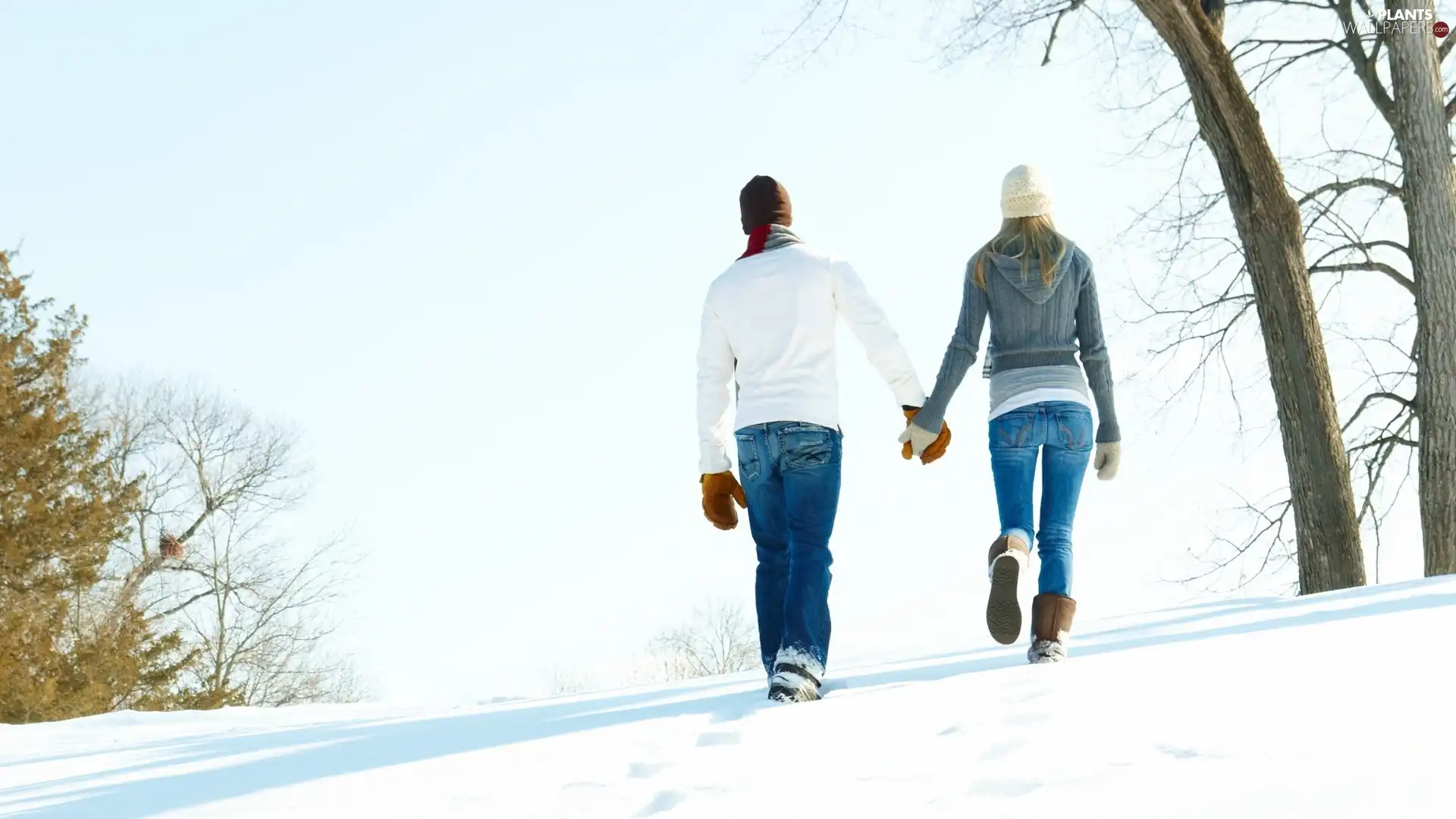 Park, Steam, wander, snow