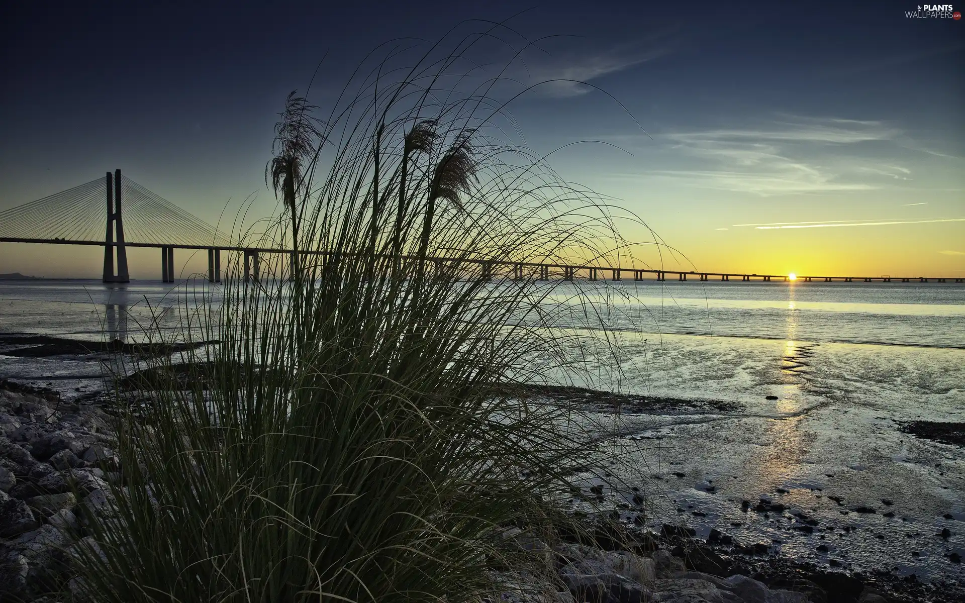 grass, River, west, sun, Stones, bridge