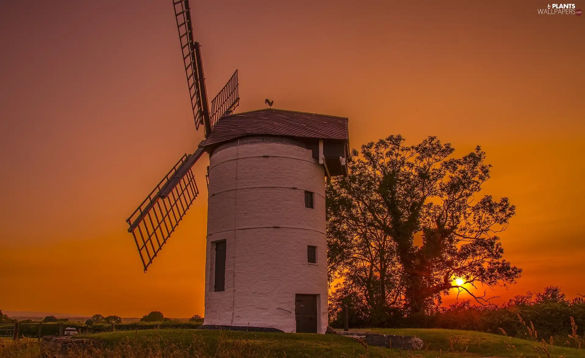 west, sun, trees, viewes, Windmill