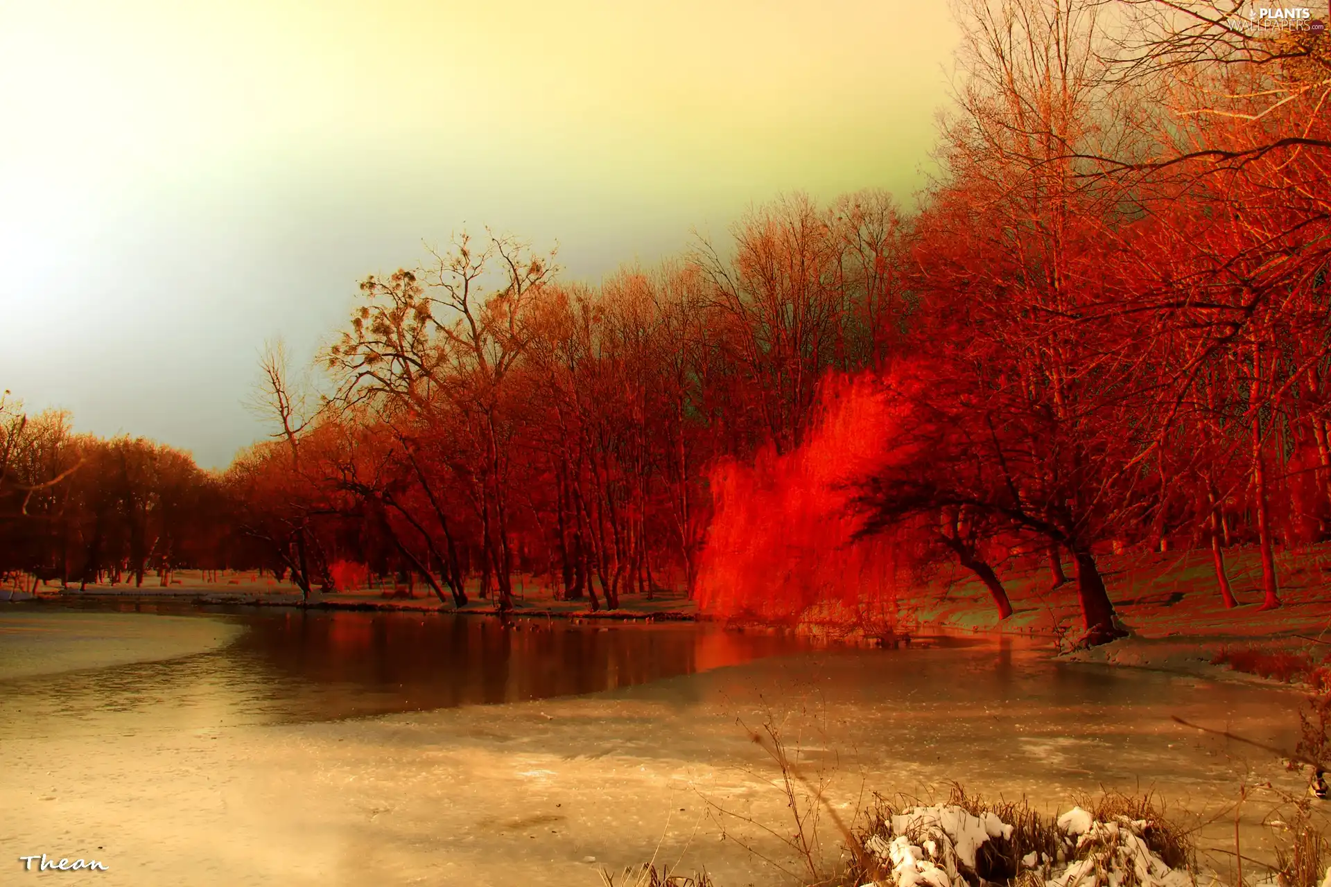 lake, viewes, winter, trees