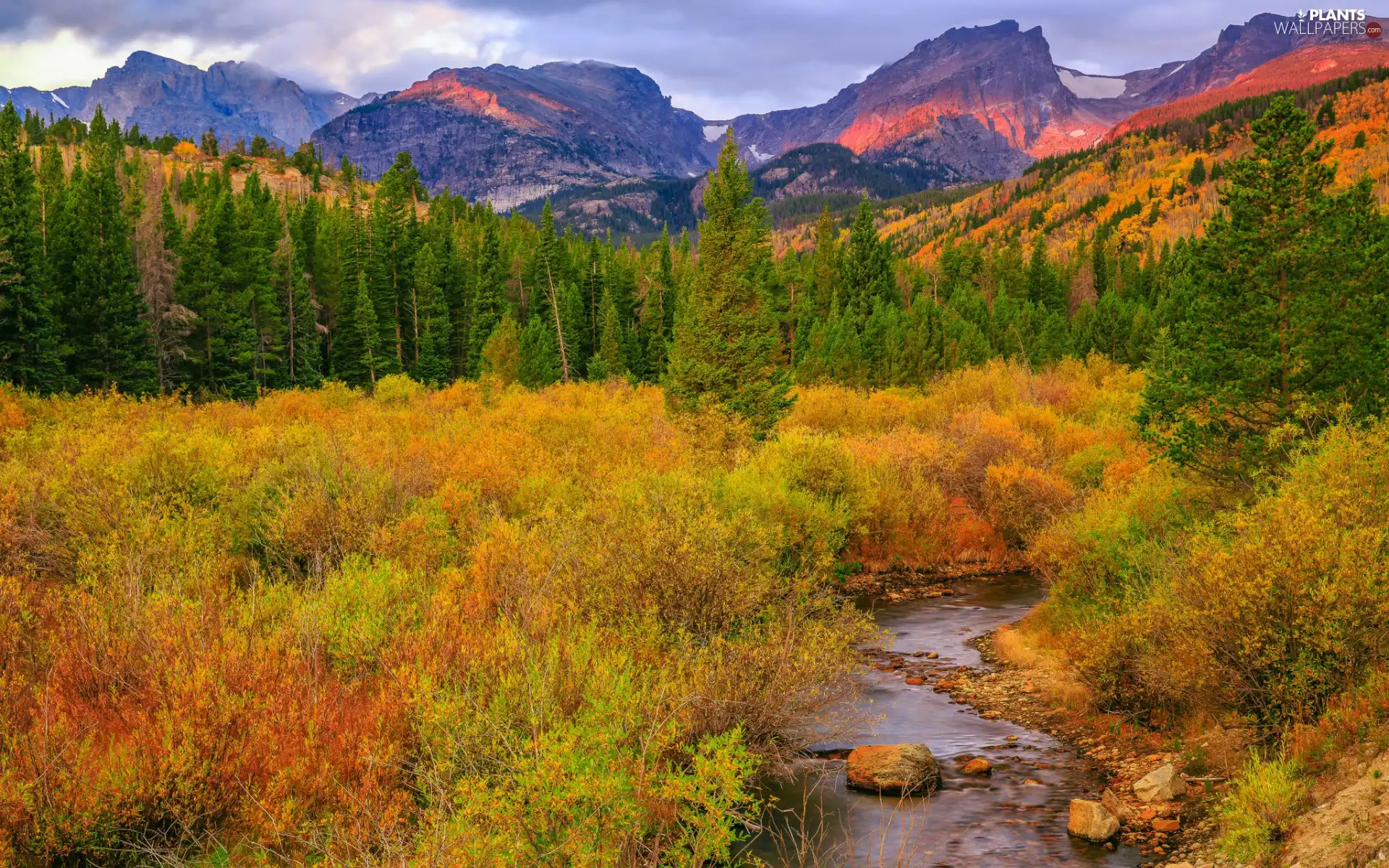 Yellowed, Mountains, woods, flux, trees, autumn, rocks, Stones, Bush, viewes